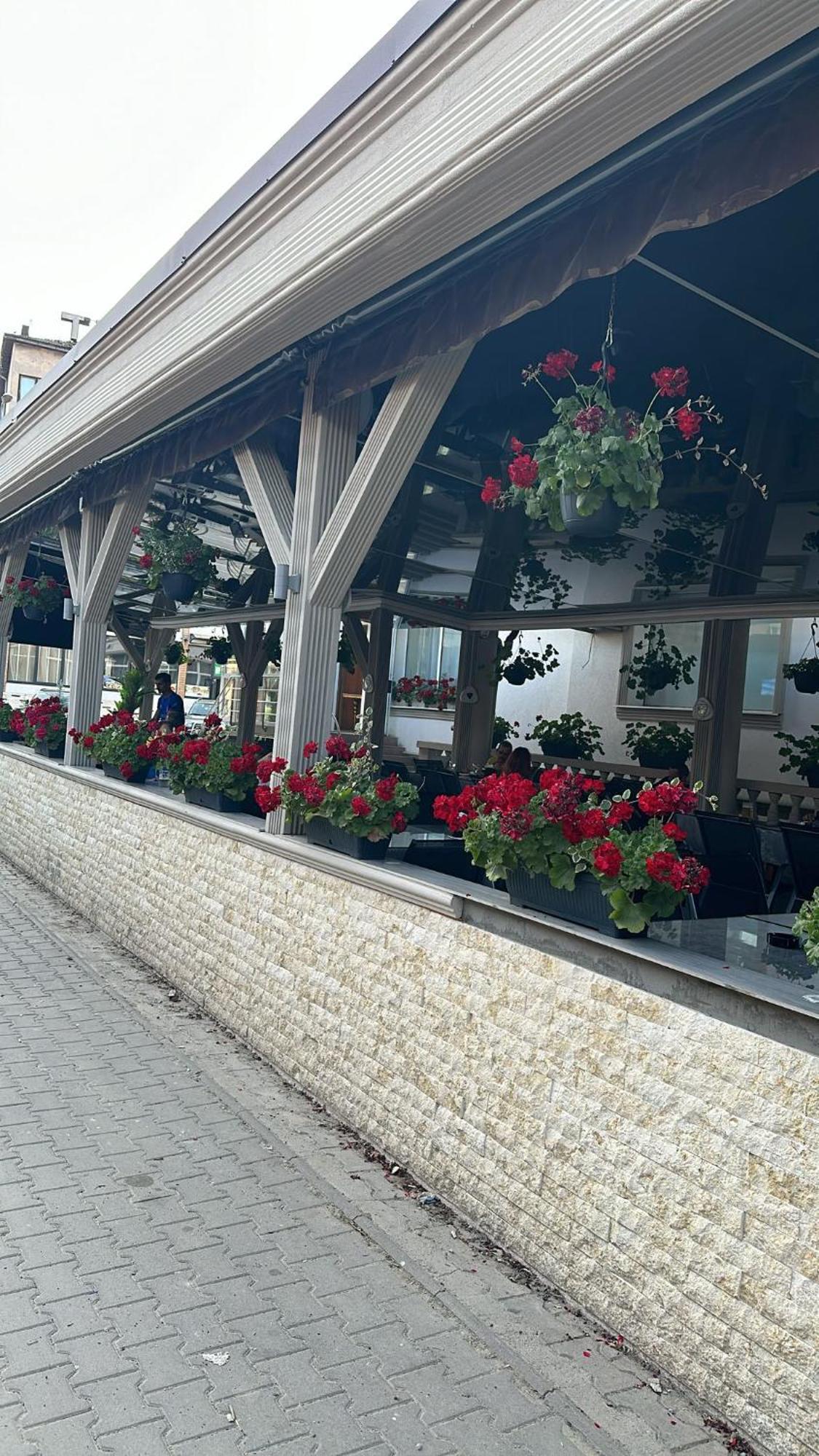 Pensiunea Balea Cîmpeni Exterior foto